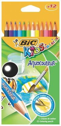 Resim Bic Aquacouleur Kuru Sulu Boya 12'Lİ