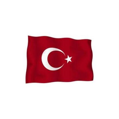Resim Buket 150*225 Türk Bayrağı